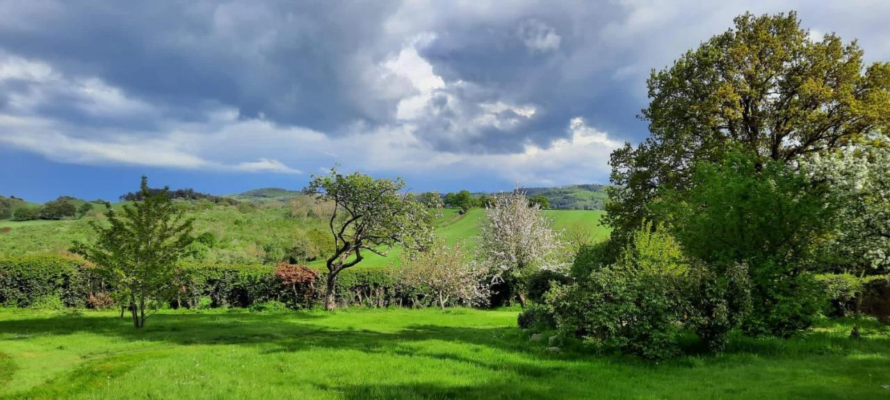 Mid-Wales Farmhouse, Swimming Pool, Tranquil Countryside Views, Sleeps 14 Meifod ภายนอก รูปภาพ