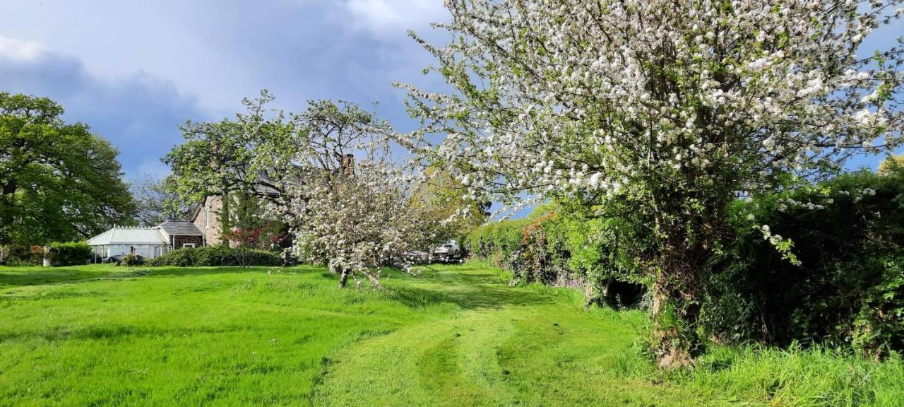 Mid-Wales Farmhouse, Swimming Pool, Tranquil Countryside Views, Sleeps 14 Meifod ภายนอก รูปภาพ